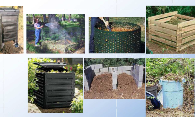 Kompostiranje – rješenje ili opasnost?